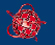 logo sal&oacute;n inmobiliario tigre